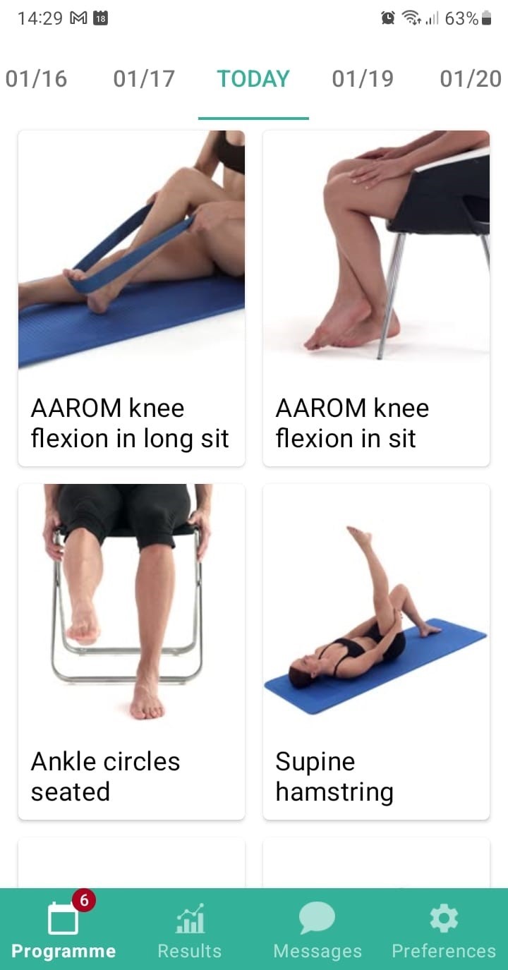 Online exercise program Posterior cruciate ligament injury