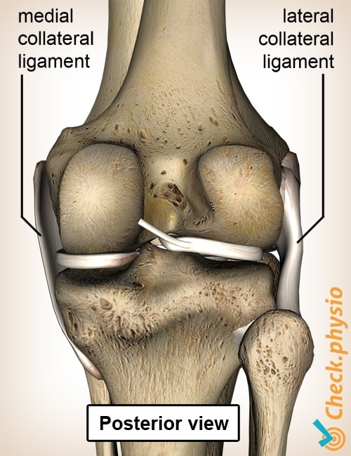 Medial Collateral Ligament Sprain of the Knee