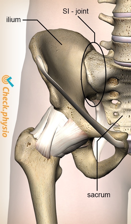 pelvis SI joint