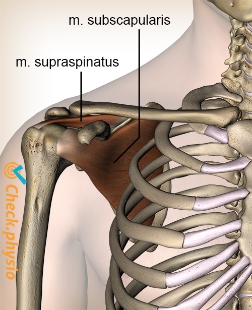 Rotator cuff injury