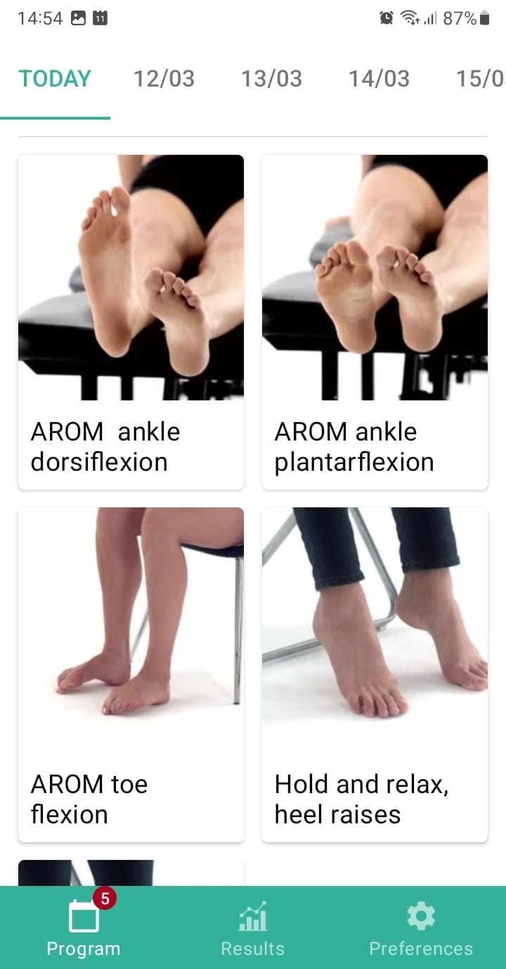 Medial ankle ligament injury exercise program