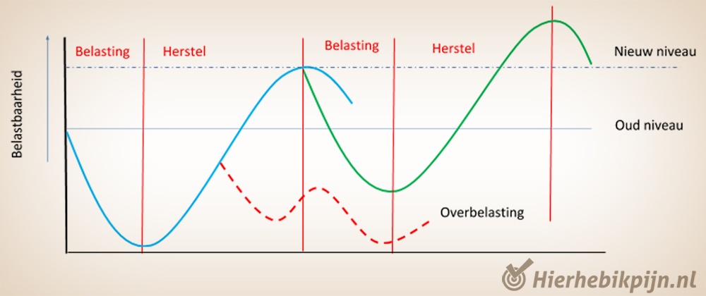 fractuur-stressfractuur-belasting-botafbraak-herstel-botopbouw.jpg